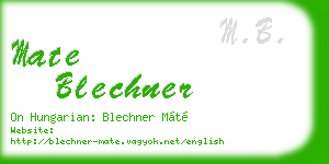 mate blechner business card